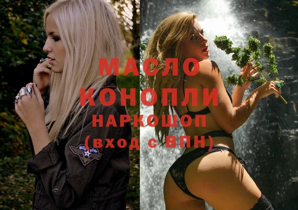 гашик Остров