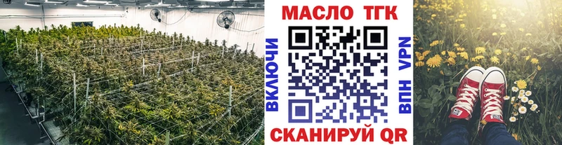 купить наркотики цена  Чишмы  Дистиллят ТГК Wax 