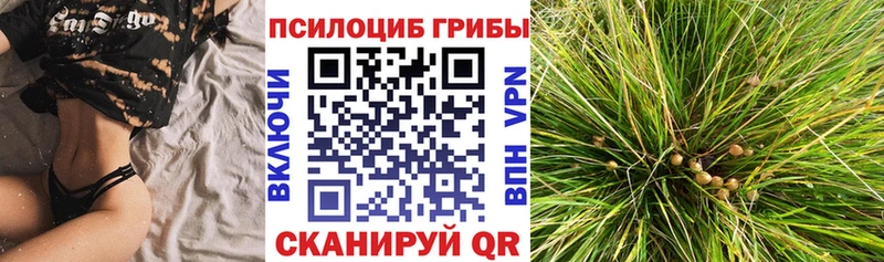 Галлюциногенные грибы MAGIC MUSHROOMS  Чишмы 